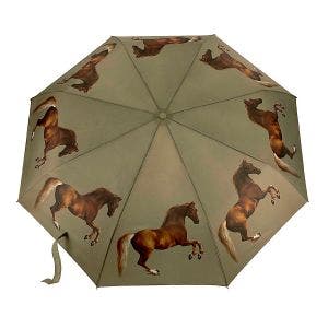 Whistlejacket Minilite Umbrella