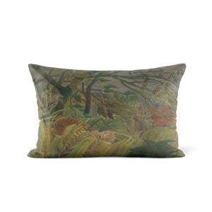 Main image of the Surprised! Cushion.
