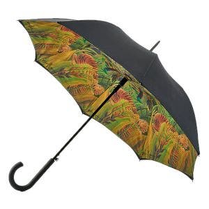 Main image of Surprised! Umbrella.