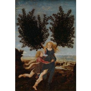 Apollo and Daphne Print