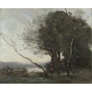 The Leaning Tree Trunk Print