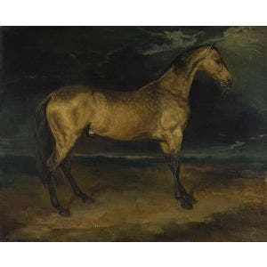 A Horse frightened by Lightning